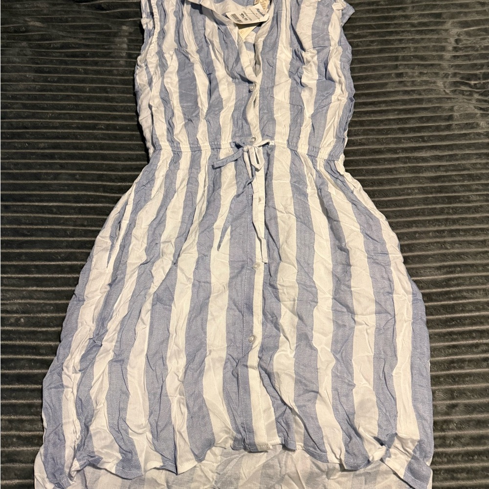 Striped Blue and White Button-Up dress